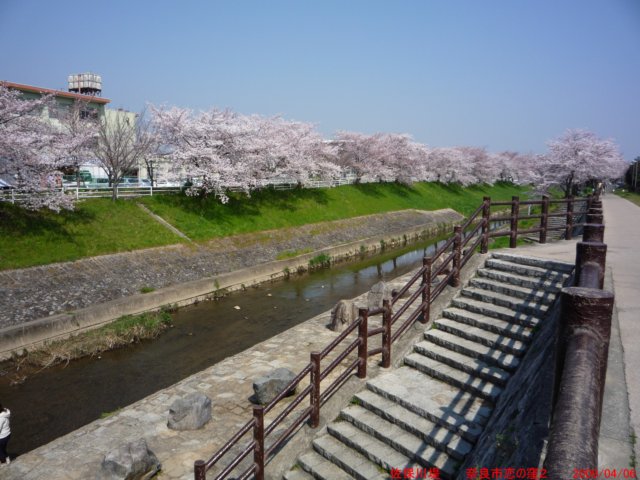 p1000426.jpg