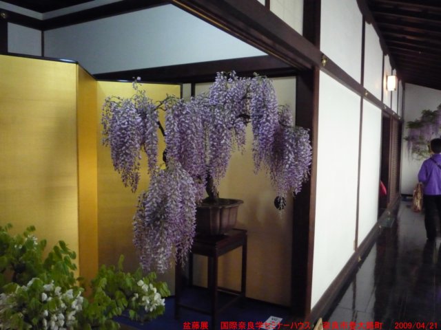 p1000459.jpg