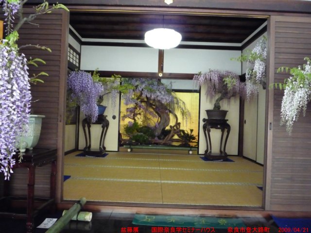 p1000469.jpg