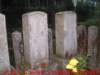 dscf0330_small.jpg