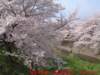 dscf0001_small.jpg