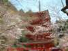dscf00262_small.jpg