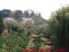 dscf00712_small.jpg