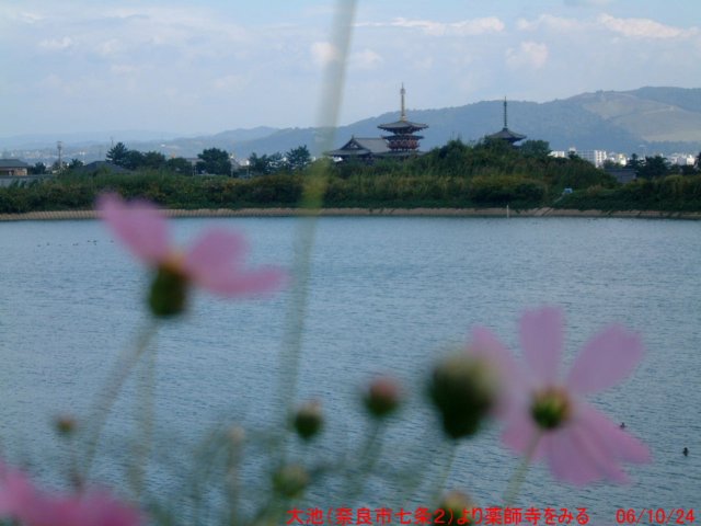 dscf0073.jpg