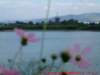 dscf0073_small.jpg