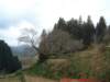 dscf0116_small.jpg