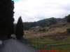 dscf0120_small.jpg