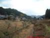 dscf0125_small.jpg