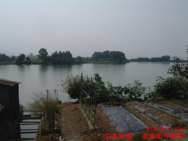 dscf0220.jpg