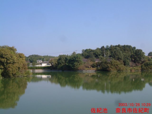 dscf0304.jpg