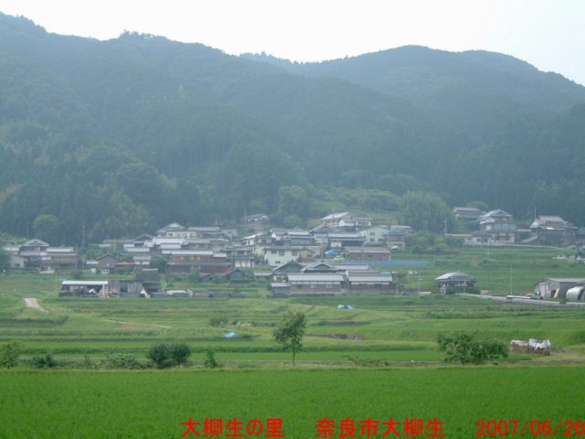 dscf0308.jpg