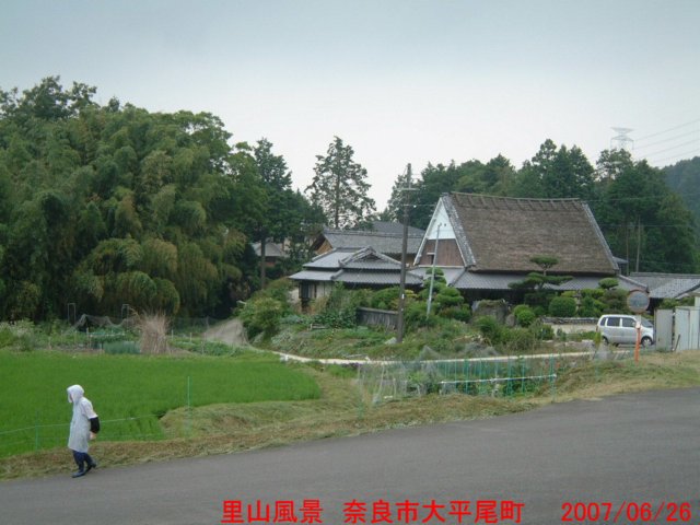 dscf0319.jpg