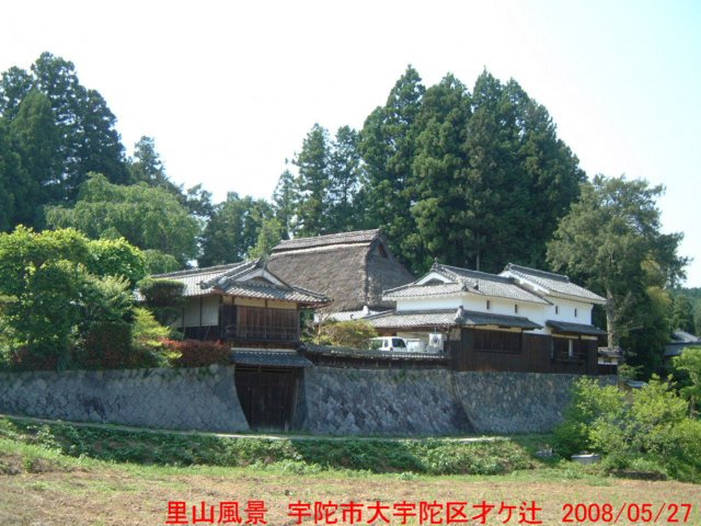 dscf0348.jpg