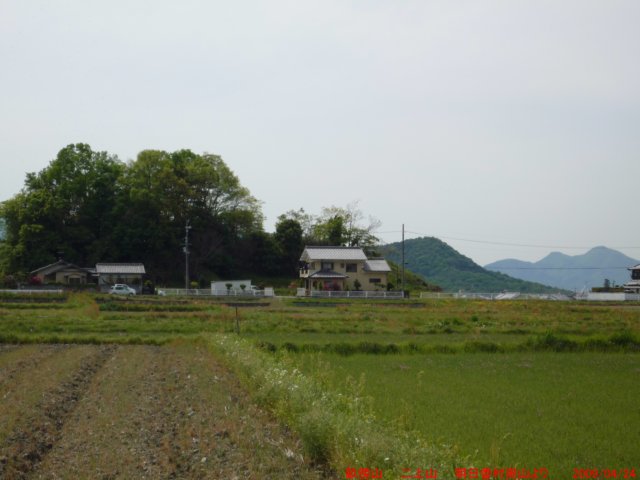 p1000572.jpg