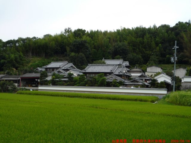 p1010212.jpg
