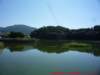 p1030844_small.jpg