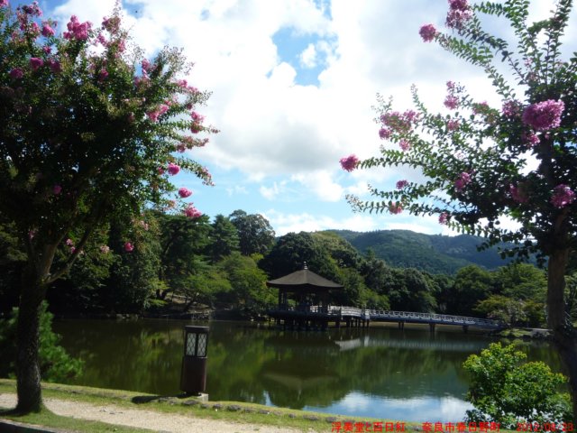p1070351.jpg