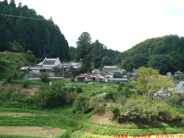 p1070490.jpg
