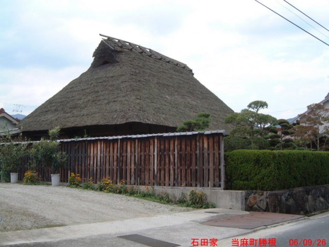 dscf0018.jpg