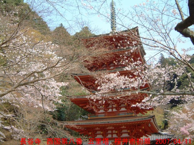 dscf00262.jpg