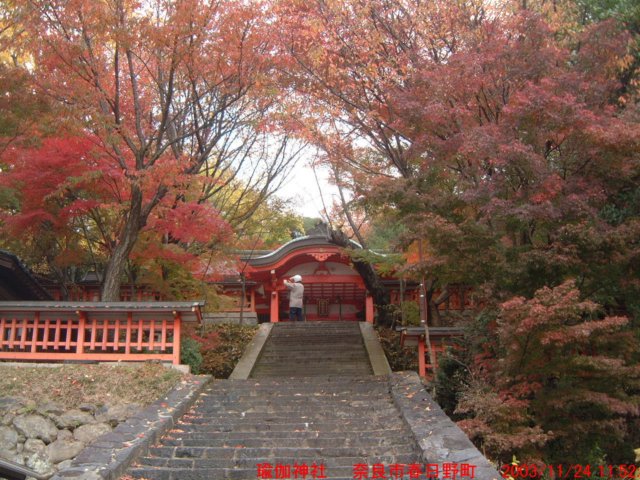 dscf0031.jpg