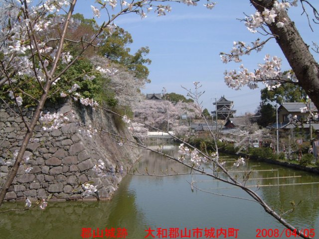 dscf0156.jpg