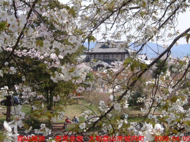 dscf01674.jpg