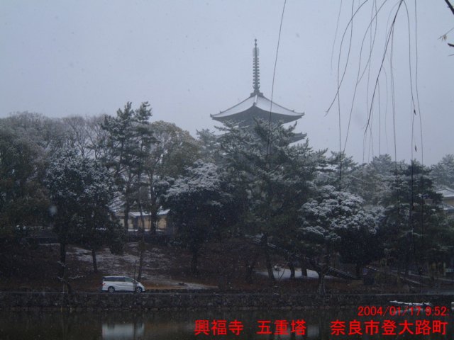 dscf0193.jpg