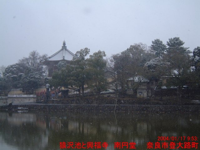 dscf0195.jpg