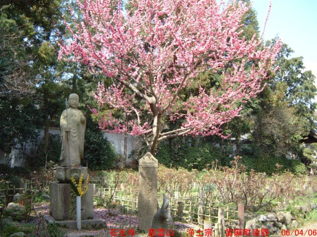 dscf0328.jpg