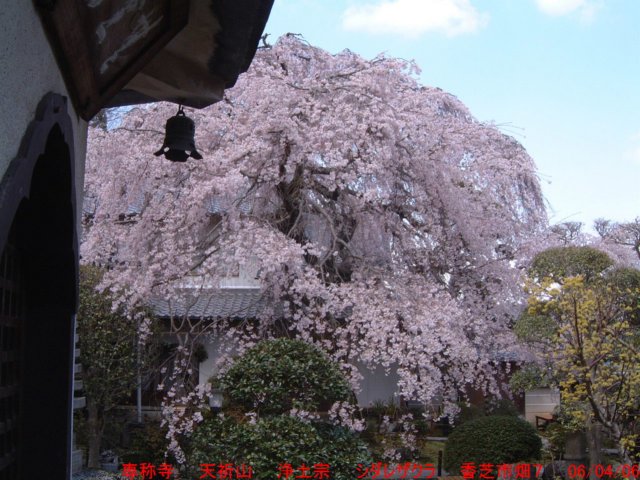 dscf0342.jpg