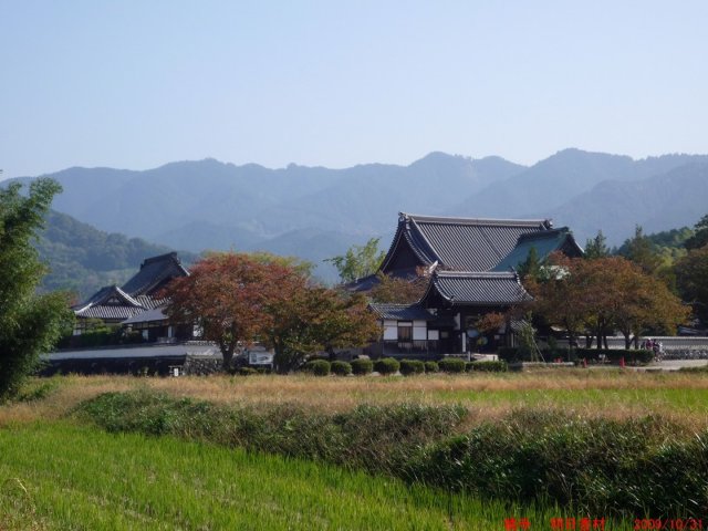 p1010578.jpg