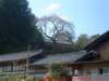 dscf00122_small.jpg