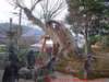 dscf0014_small.jpg