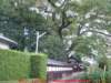 dscf00392_small.jpg
