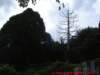 dscf0054_small.jpg