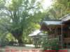 dscf0076_small.jpg