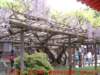 dscf0083_small.jpg
