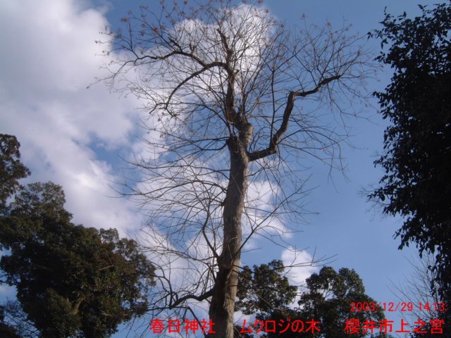 dscf0085.jpg