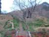 dscf0106_small.jpg