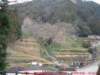dscf0118_small.jpg