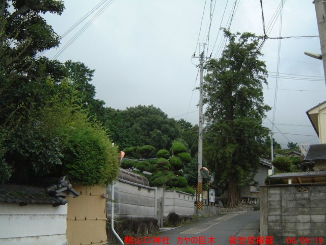 dscf0128.jpg