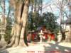 dscf0166_small.jpg