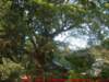 dscf0293_small.jpg