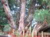 dscf0305_small.jpg