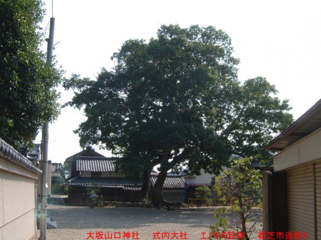 dscf0316.jpg