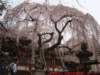 dscf0324_small.jpg
