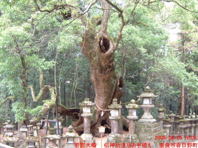dscf0378.jpg