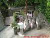 dscf0005_small.jpg
