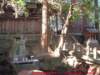 dscf0103_small.jpg